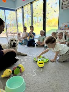 IMG-20250609-WA0070