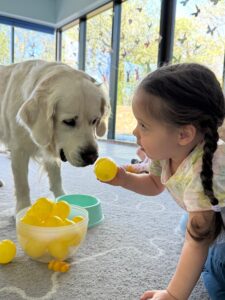 IMG-20250609-WA0075